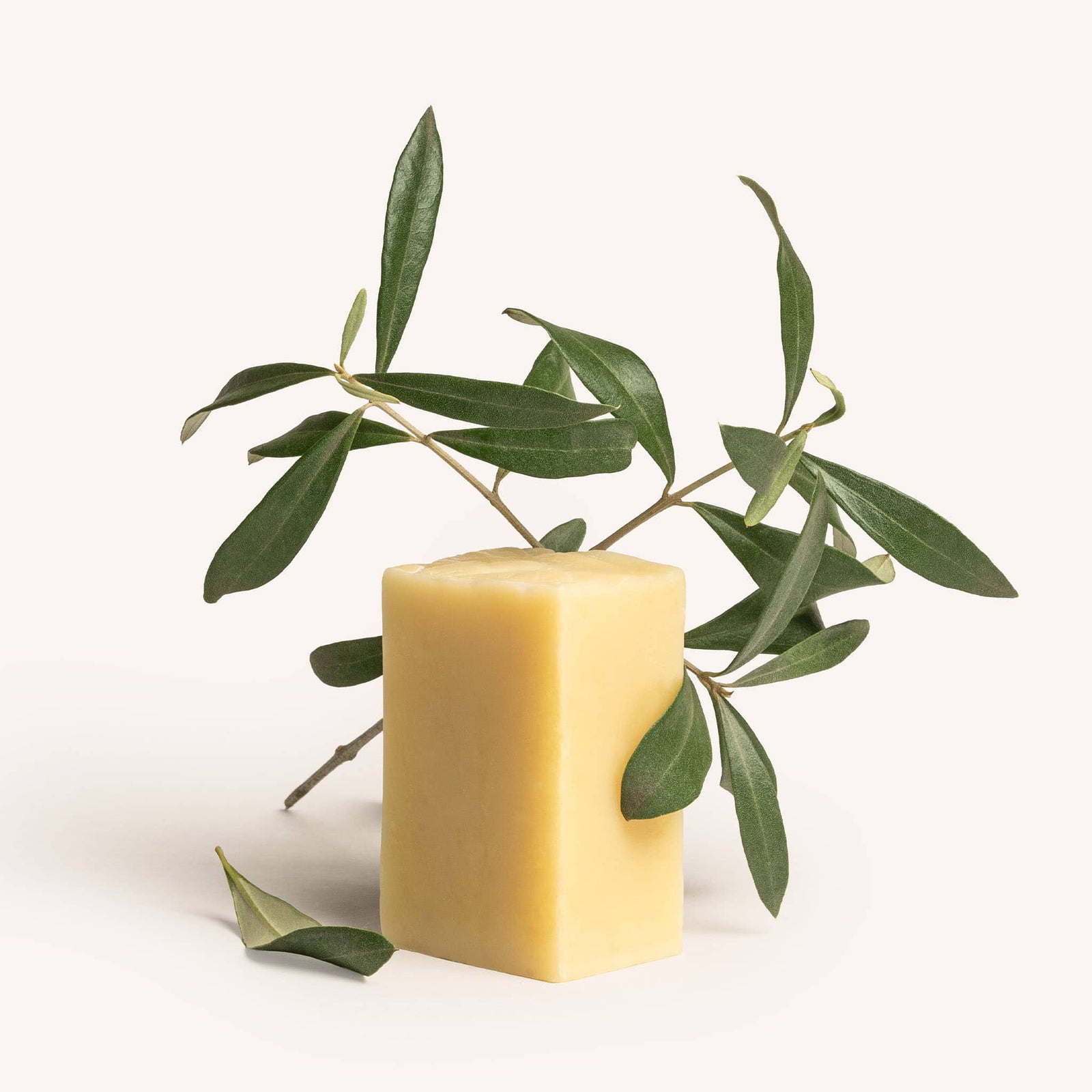 Shampoing Cheveux secs