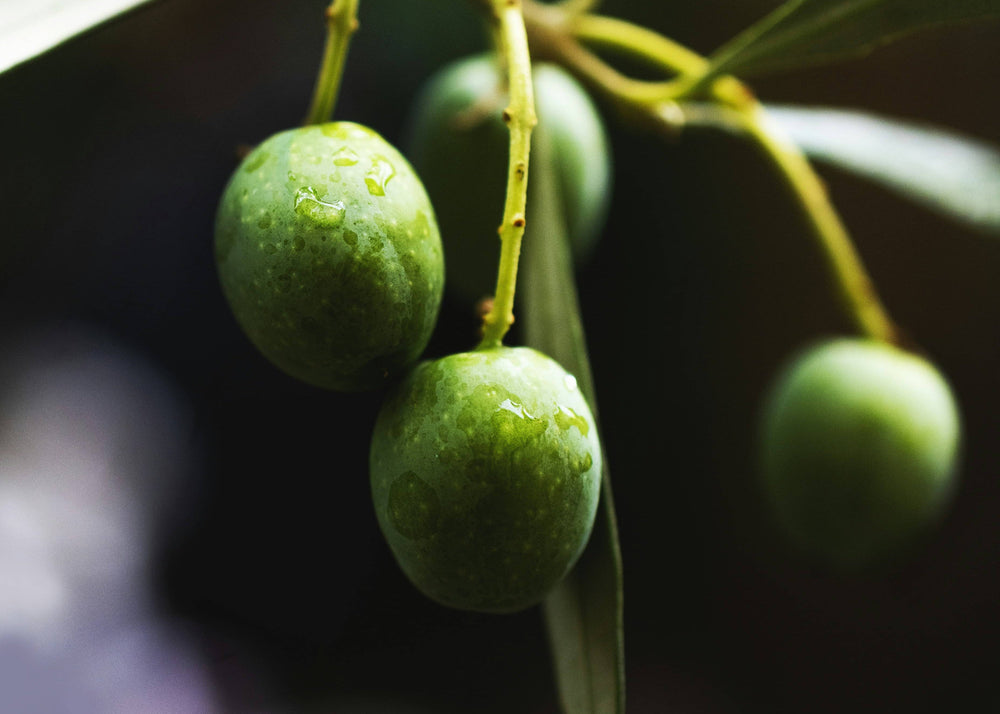 Huile d'olive