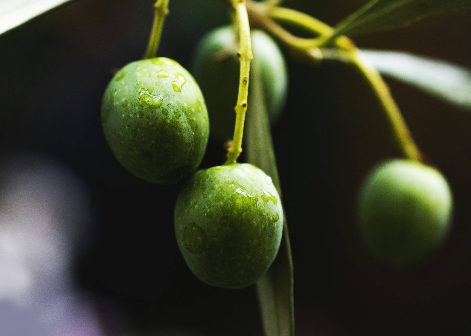 Huile d'olive