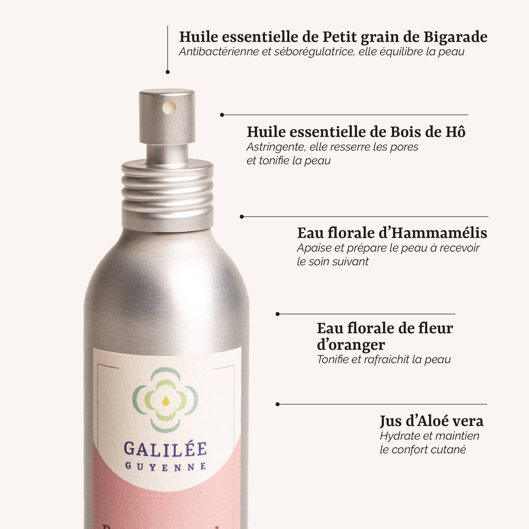 présentation des actifs de la Brume Florale Hydratante : un soin visage hydratant à l'hamamélis et à l'aloe vera pour les peaux sèches, fabrication artisanale en France par Galilée Guyenne