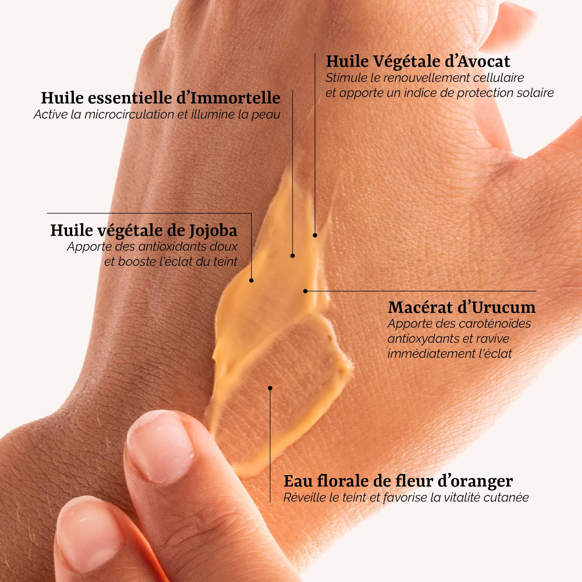 présentation des actifs de la Crème Éclat : un soin visage naturel et bio à l'abricot et à l'avocat, fabrication artisanale en France par Galilée Guyenne