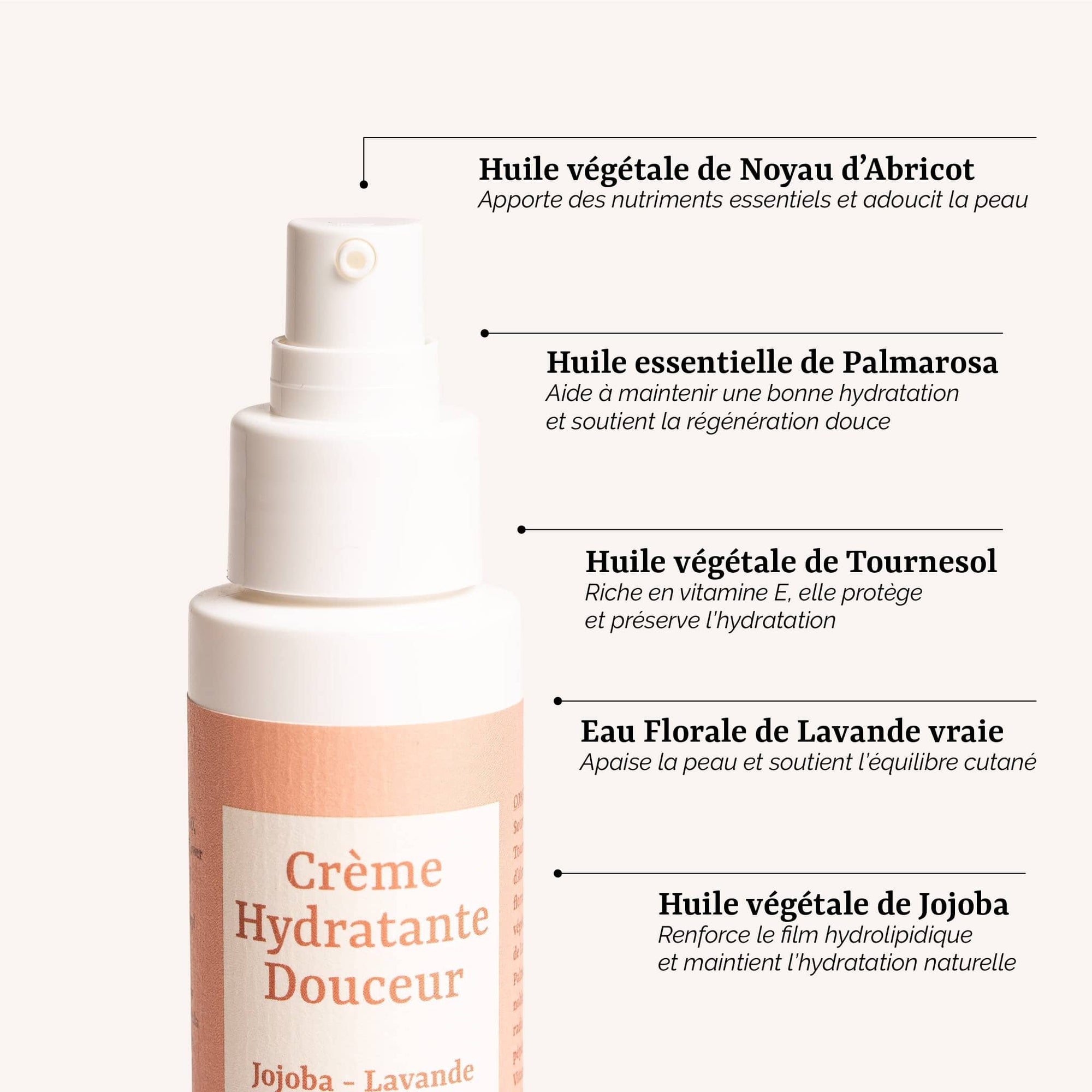 présentation des actifs naturels de la Crème Hydratante Douceur Galilée Guyenne : jojoba, lavande et palmarosa. Soin corps femme bio pour l'équilibre des peaux normales.