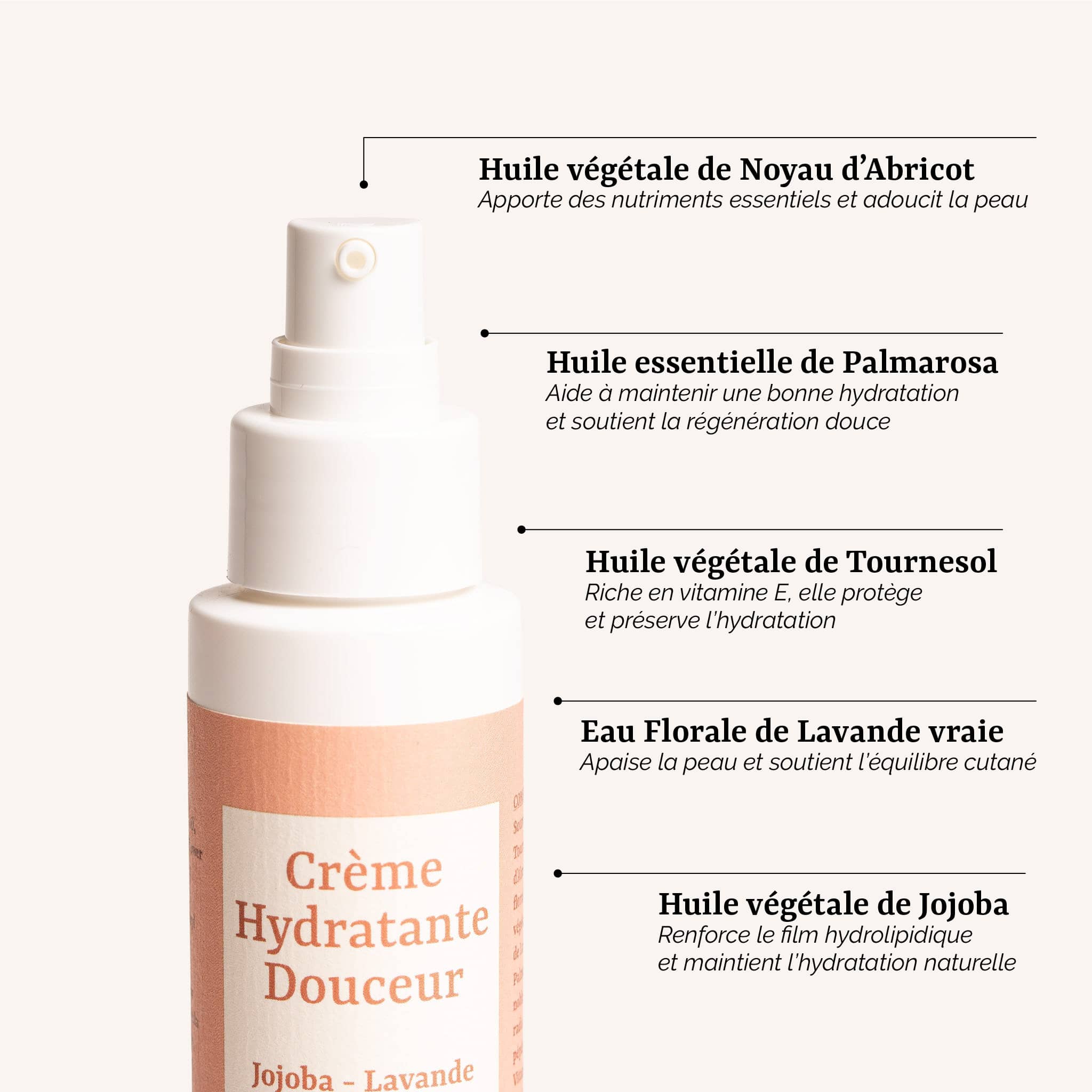 présentation des actifs naturels de la Crème Hydratante Douceur Galilée Guyenne : jojoba, lavande et palmarosa. Soin corps femme bio pour l'équilibre des peaux normales.