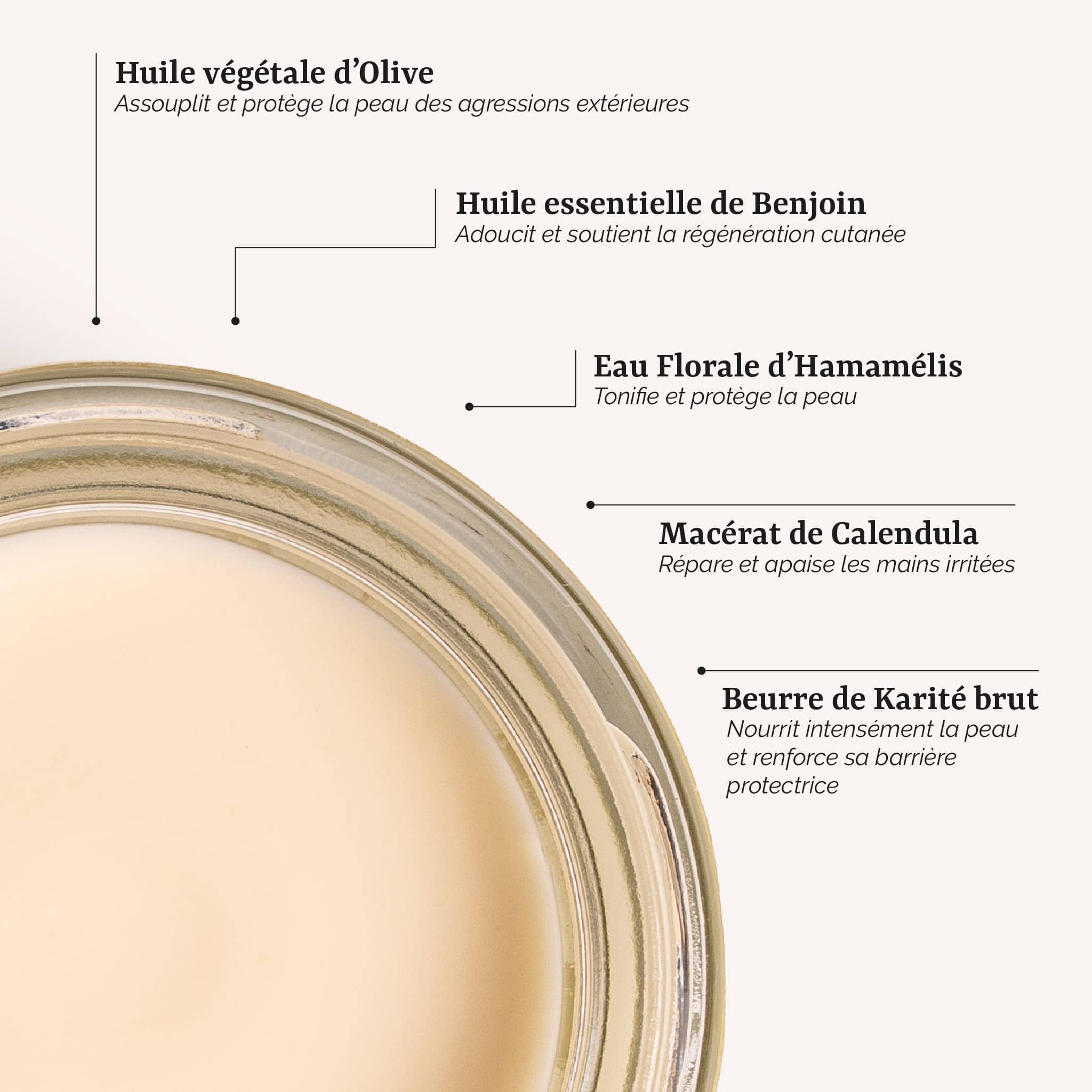 présentation des actifs naturels de la Crème Mains Onctueuse Galilée Guyenne : beurre de Karité, huile d'olive et macérat de Calendula. Soin corps bio pour mains sèches et abimées.