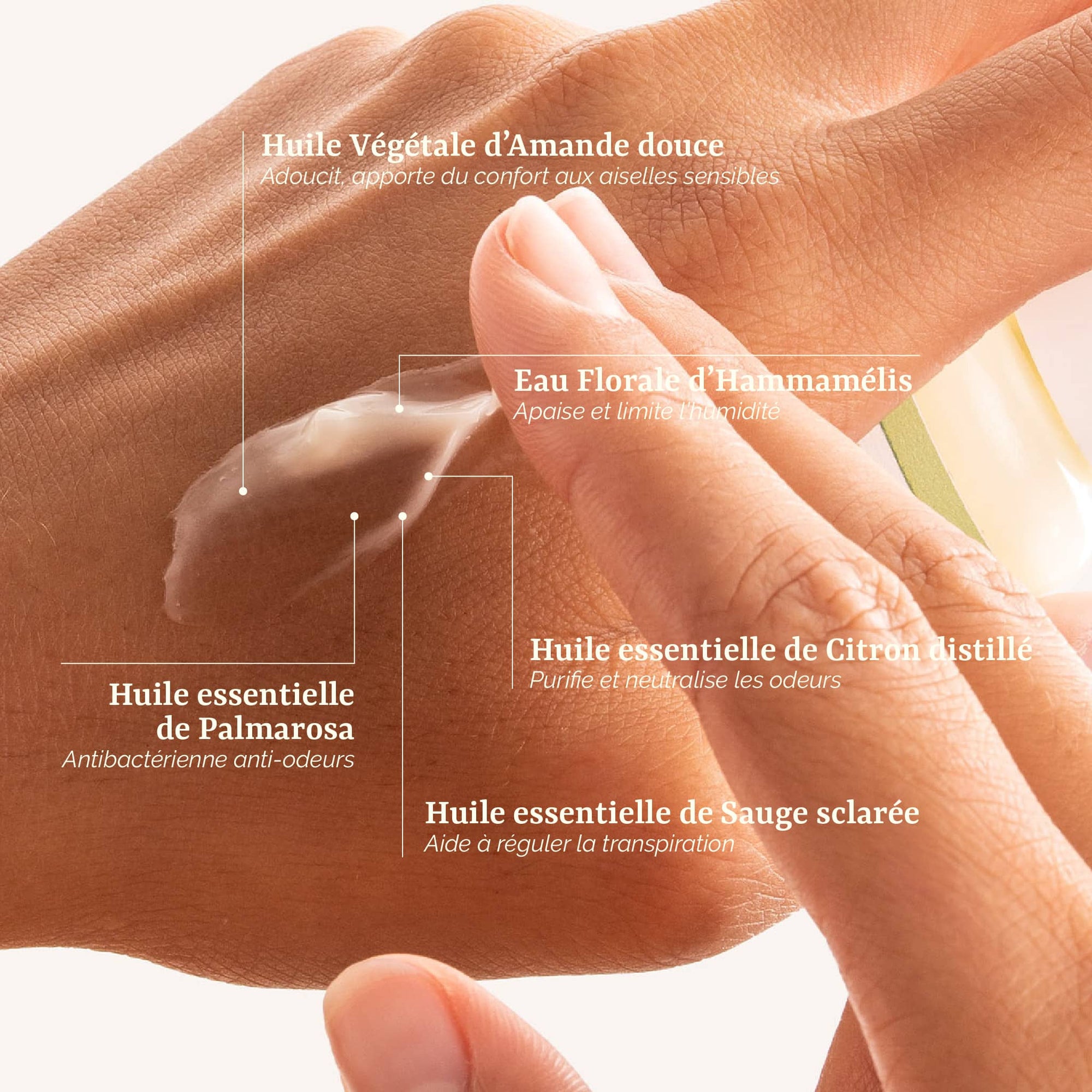 présentation des actifs naturels du Déodorant Crème Sans Alcool Galilée Guyenne : amande douce, citron et palmarosa. Déodorant crème femme bio pour peaux sensibles.