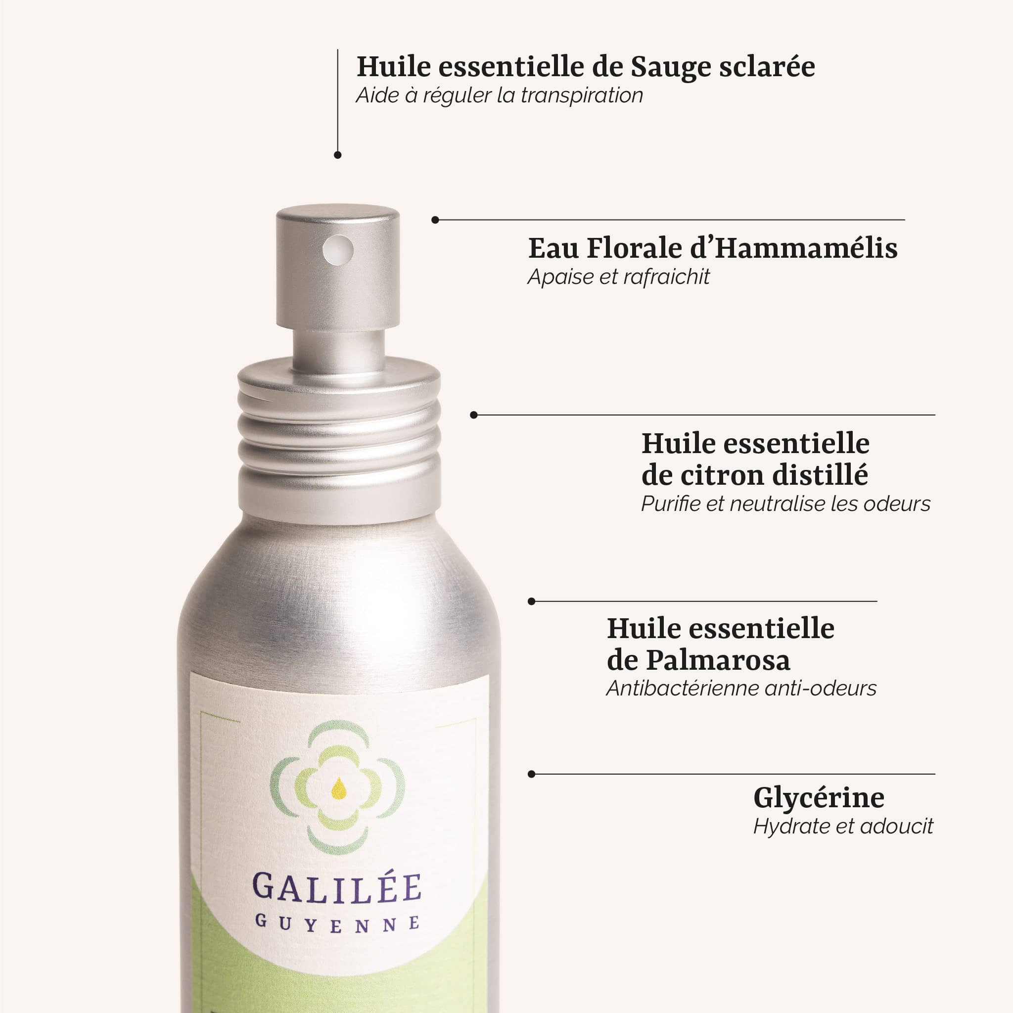 présentation des actifs du déodorant spray fraicheur : un soin corps naturel et bio aux huiles essentielles de citron et d'hamamélis, fabrication artisanale en France par Galilée Guyenne