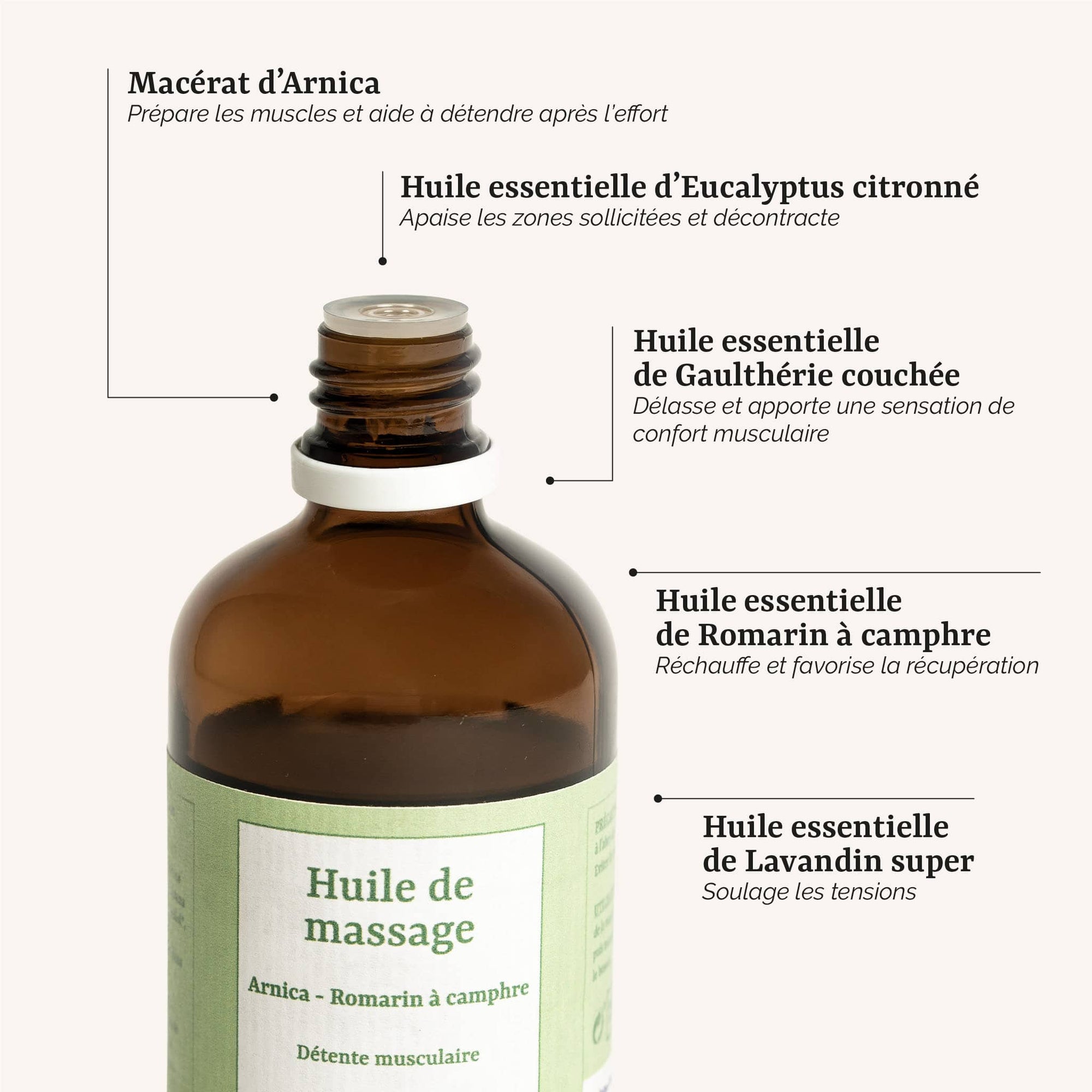 présentation des actifs de l'huile de massage détente musculaire : un soin corps naturel et bio à l'arnica et au romarin, fabrication artisanale en France par Galilée Guyenne