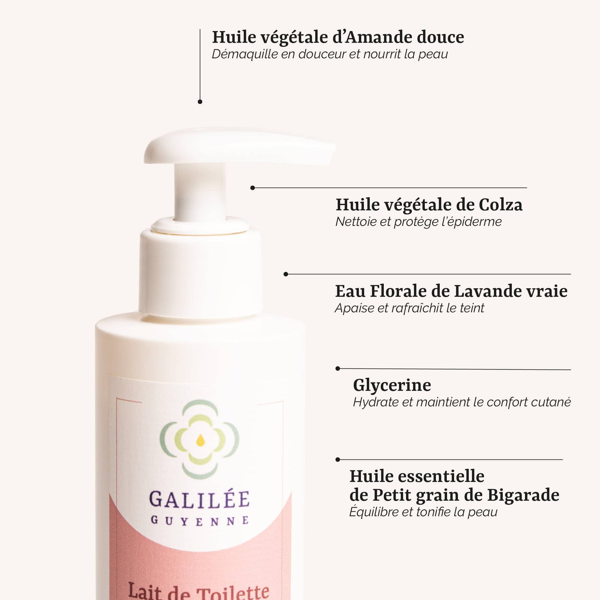 présentation des actifs du Lait de Toilette Démaquillant Velouté : un soin démaquillant à l'amande douce et à la lavande pour les peaux sèches et sensibles, fabrication artisanale en France par Galilée Guyenne
