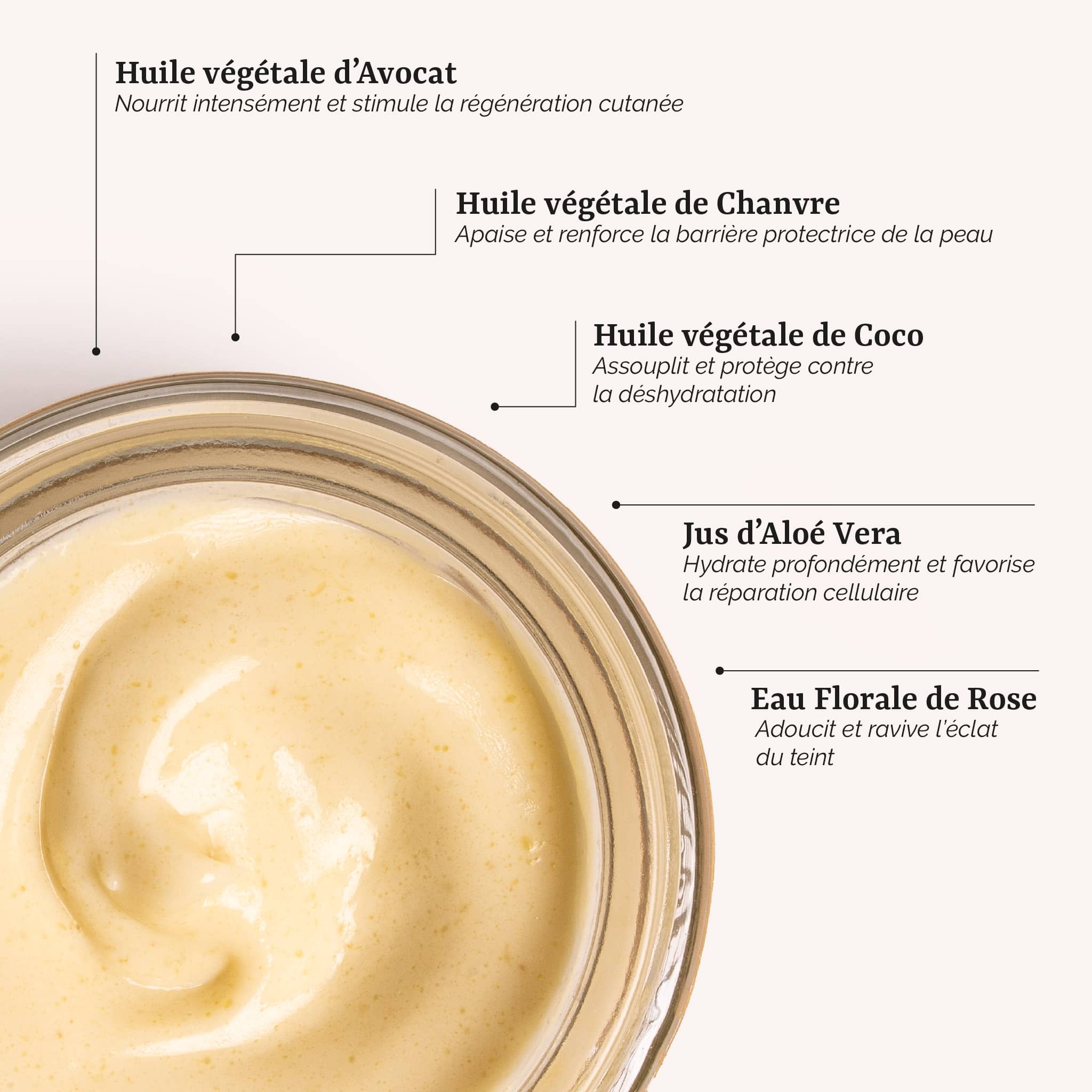 présentation des actifs du masque généreux visage : un soin visage naturel et artisanal à l'aloe vera et à l'avocat, fabrication artisanale en France par Galilée Guyenne