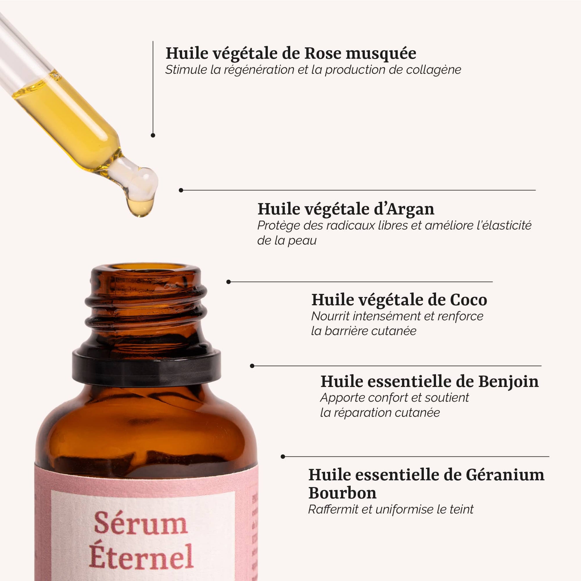 présentation des actifs du Sérum Éternel pour peaux matures : un soin visage naturel et bio au géranium bourbon et à la rose musquée, fabrication artisanale en France par Galilée Guyenne