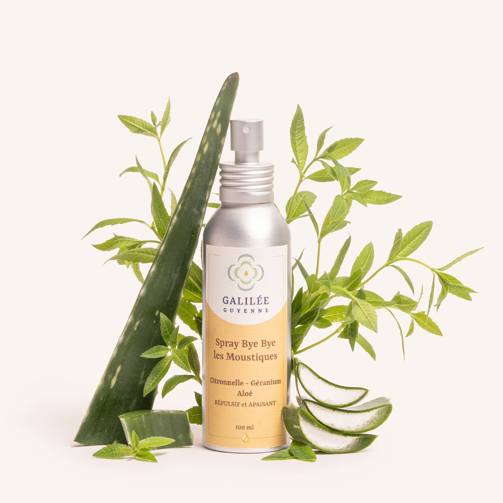 Spray Bye Bye les moustiques