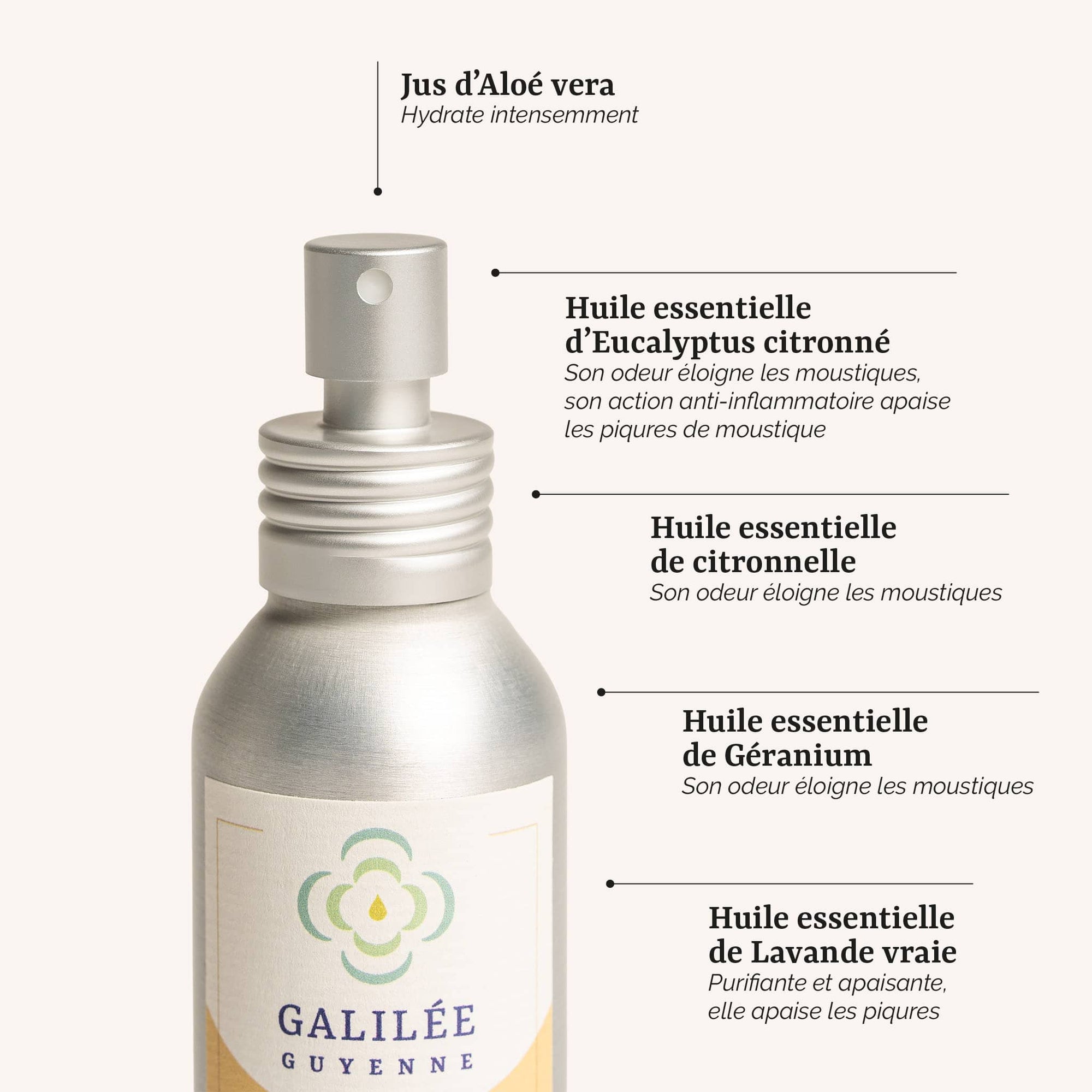 présentation des actifs du spray bye bye les moustiques : un spray répulsif contre les moustiques aux huiles essentielles de citronnelle et de géranium, fabrication artisanale en France par Galilée Guyenne