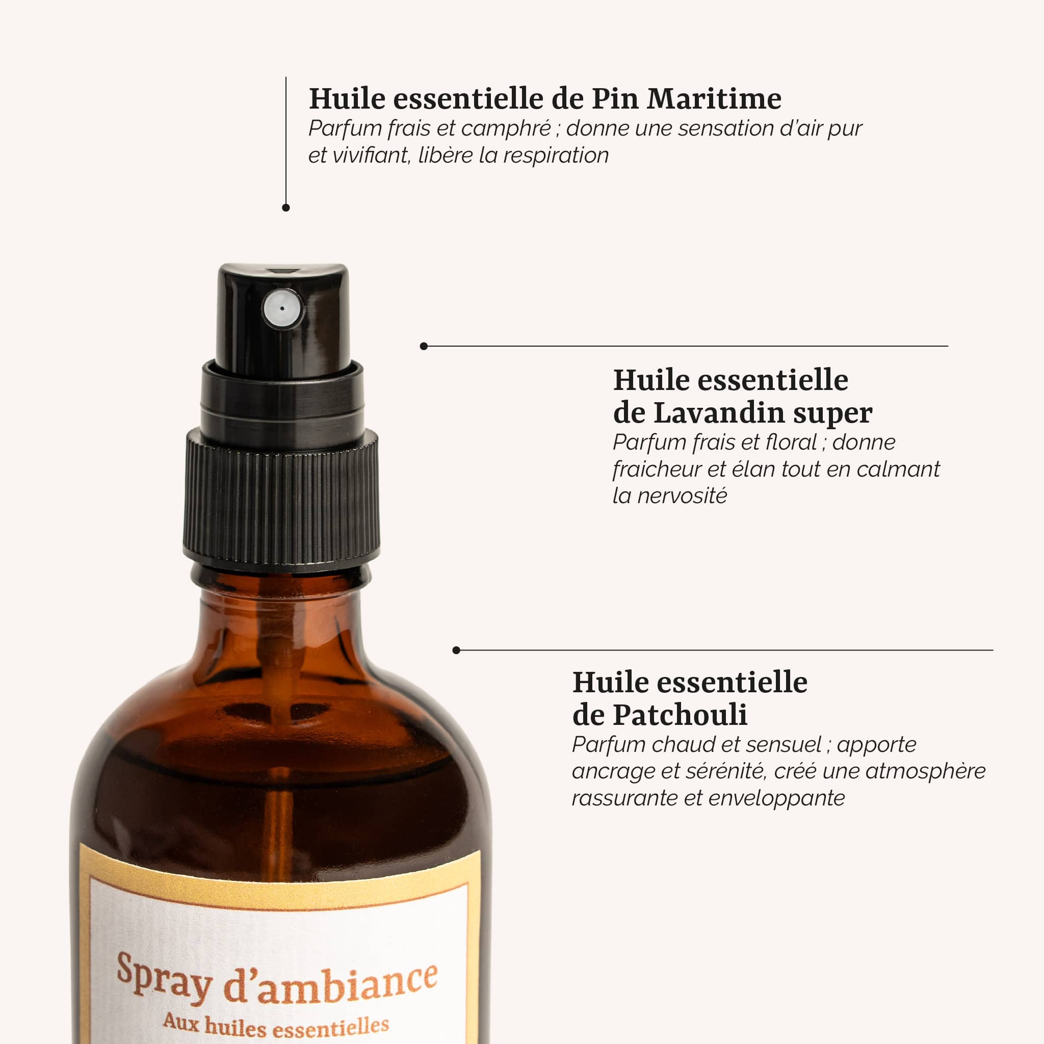présentation des actifs du spray d'ambiance pin maritime lavandin : un parfum d'intérieur aux huiles essentielles de pin maritime et de lavandin, fabrication artisanale en France par Galilée Guyenne